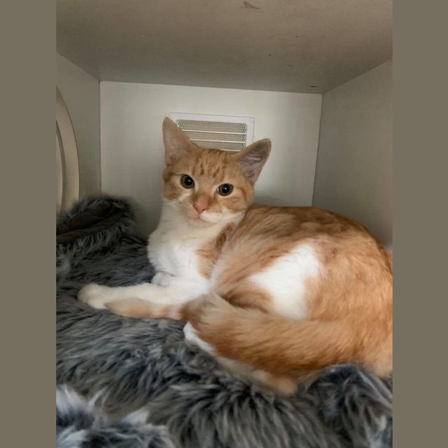 Photo of Charlie