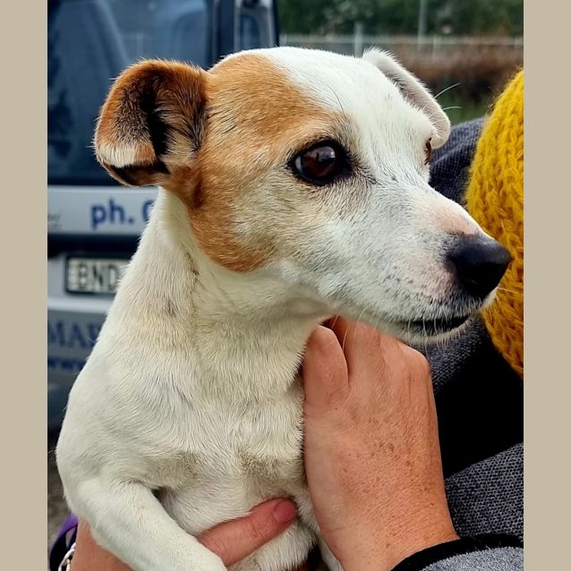 Photo of Rosie