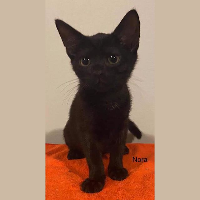 Photo of Nora