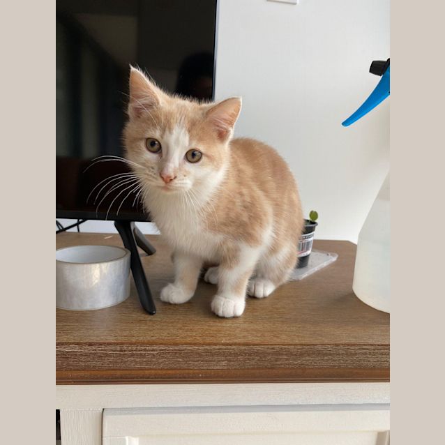 Photo of Bertie And Mac