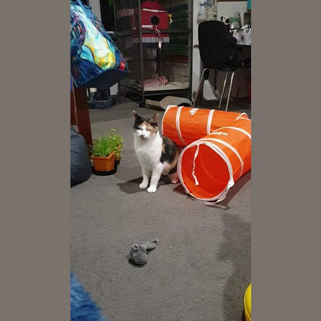 Photo of Tabitha