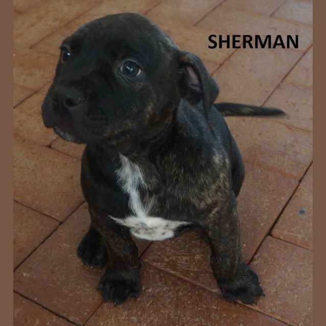 Photo of Bucky And Sherman