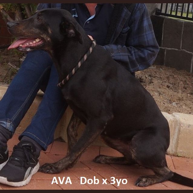 Photo of Ava