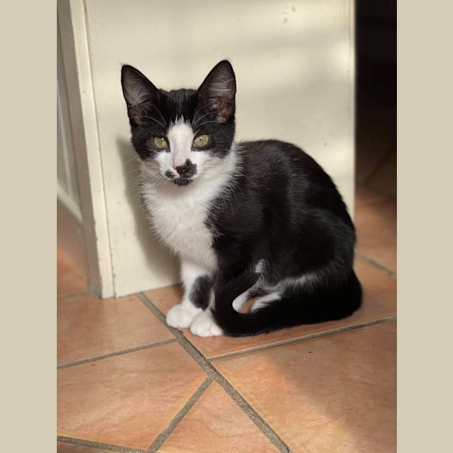 Photo of Lily And Jill 