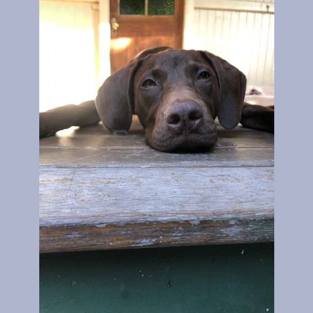 Photo of Micah