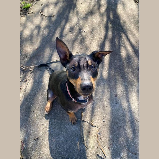 Photo of Jim And Tuck