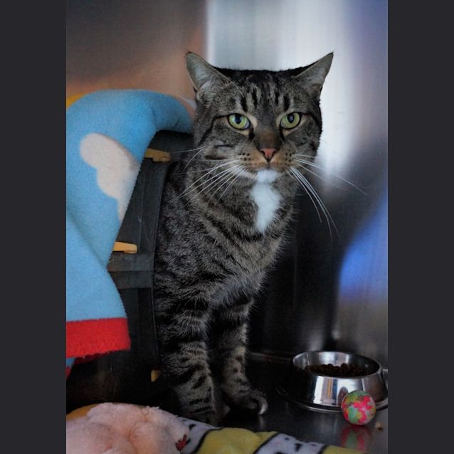 Photo of Norman