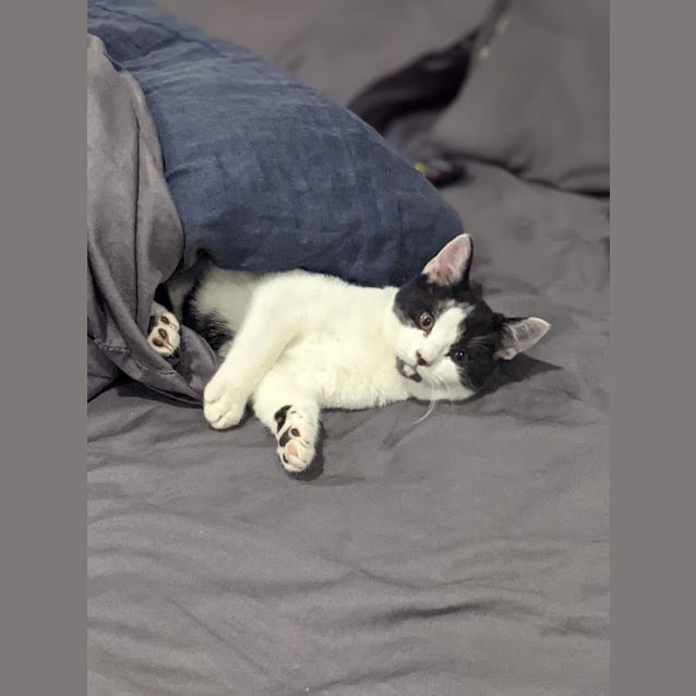 Photo of Cindy Clawford