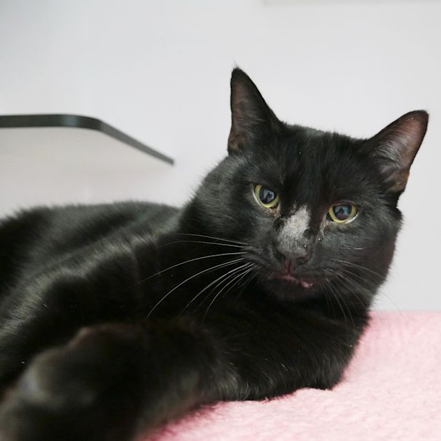 Photo of Solomen Sta008596