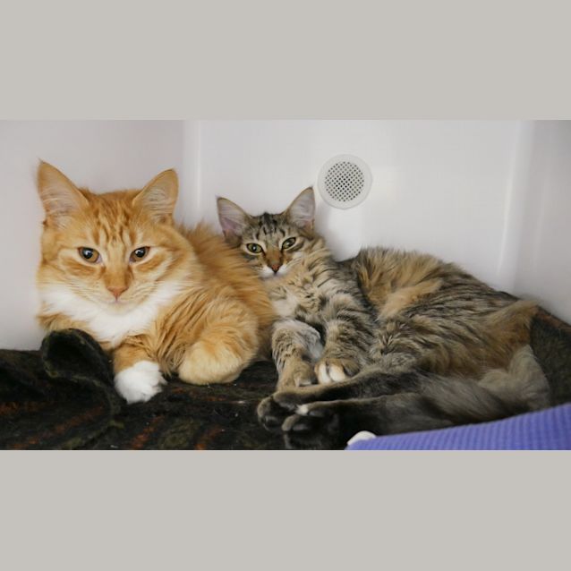 Photo of Jamie & Claire Stk008638 Stk008639