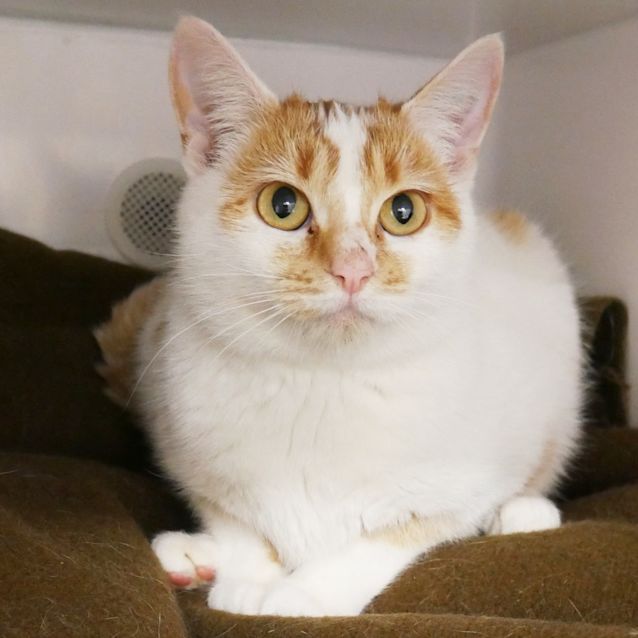 Photo of Kendal Sta008660