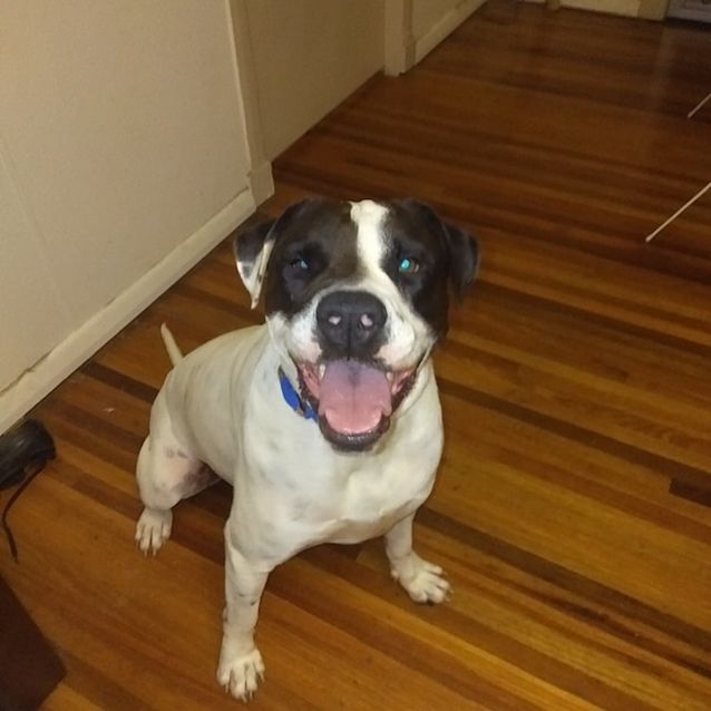 Photo of Lola