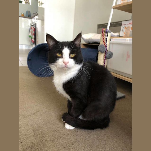 Photo of Simon   Located In Preston