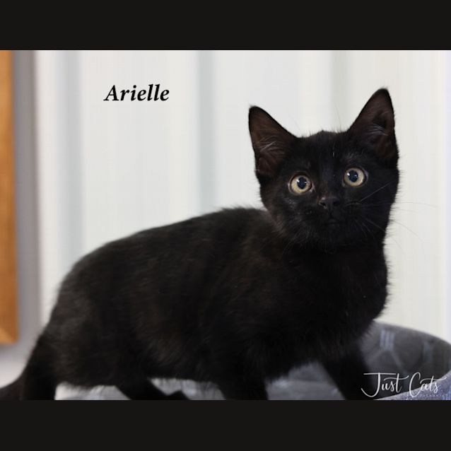 Photo of Arielle