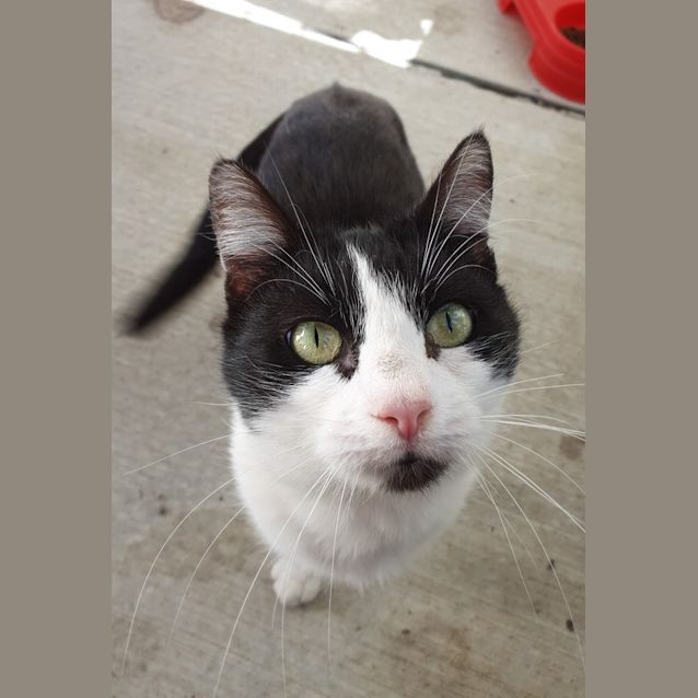 Photo of Milly