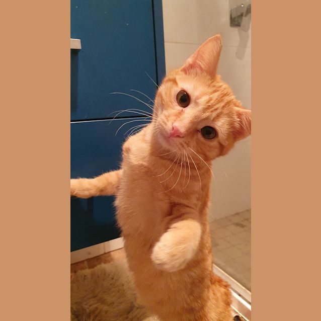 Photo of Fred