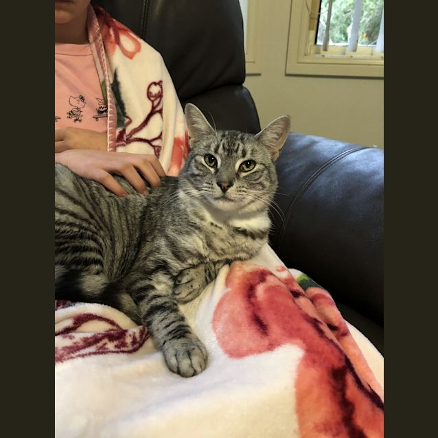 Photo of Mulder