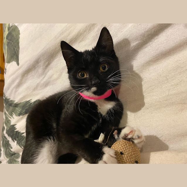 Photo of Betty