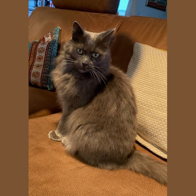 Photo of Bubba