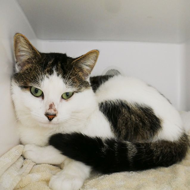 Photo of Patrick Sta008661