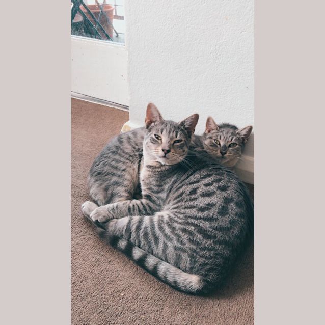 Photo of Licki Minaj And Robin Flick