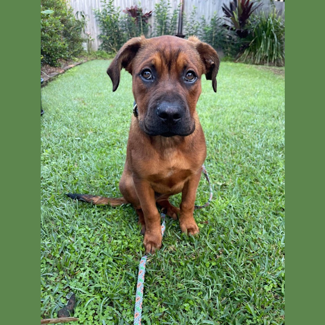 Photo of Hugo