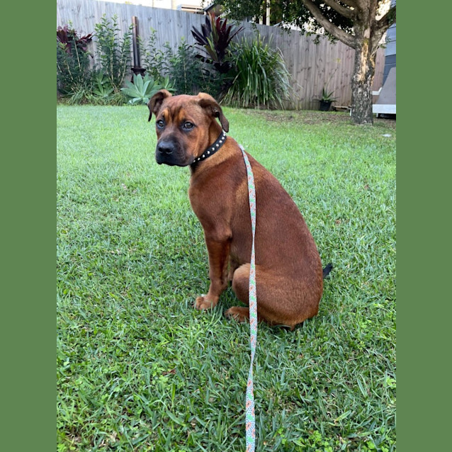Photo of Hugo