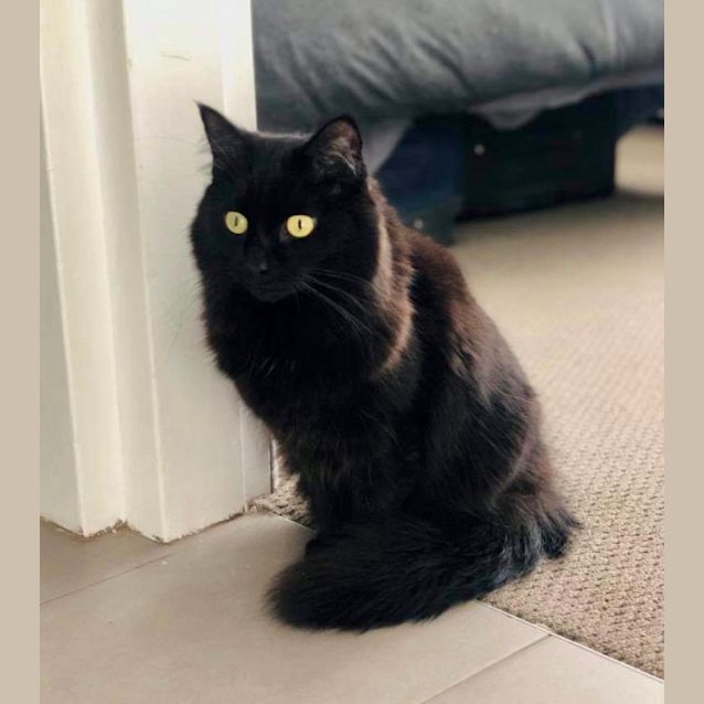 Photo of Shiraz