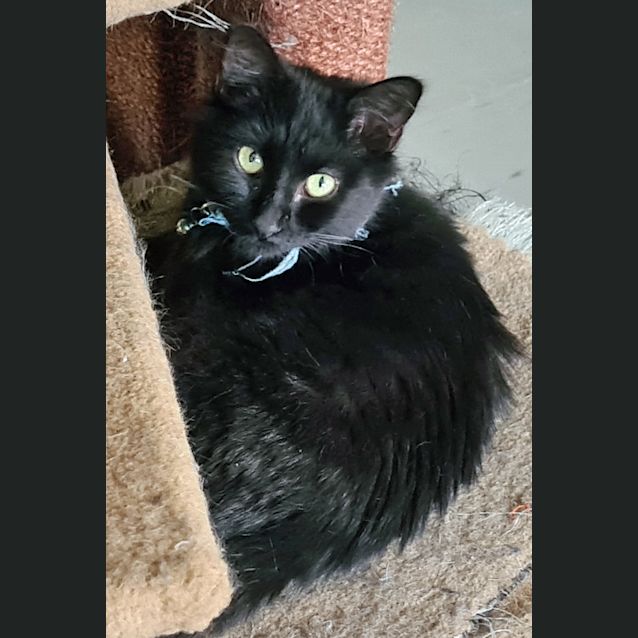 Photo of Paco
