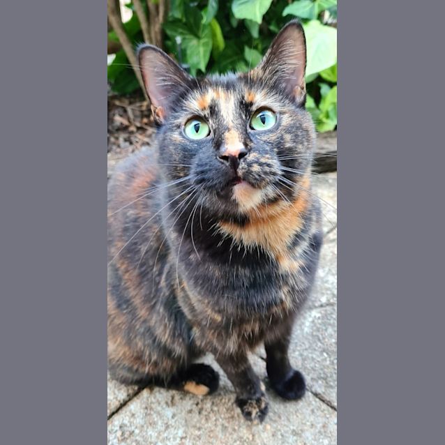 Photo of Eloise