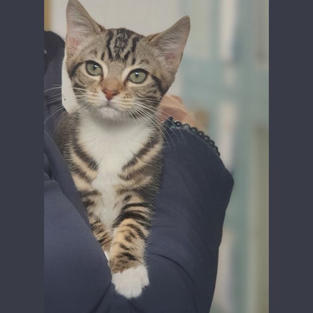 Photo of Hilda