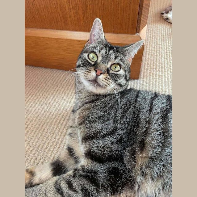 Photo of Lloyd