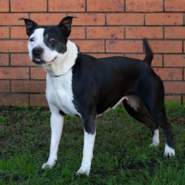 Photo of Miesha