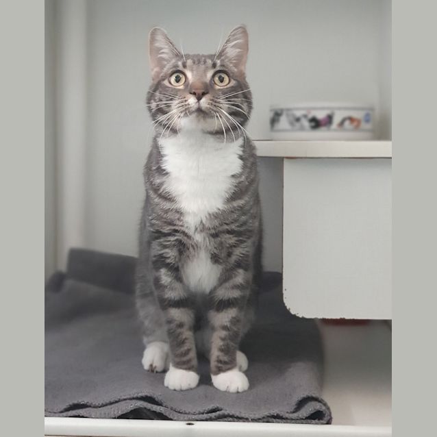 Photo of Tuna