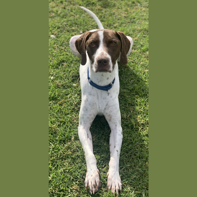 Photo of Hugo