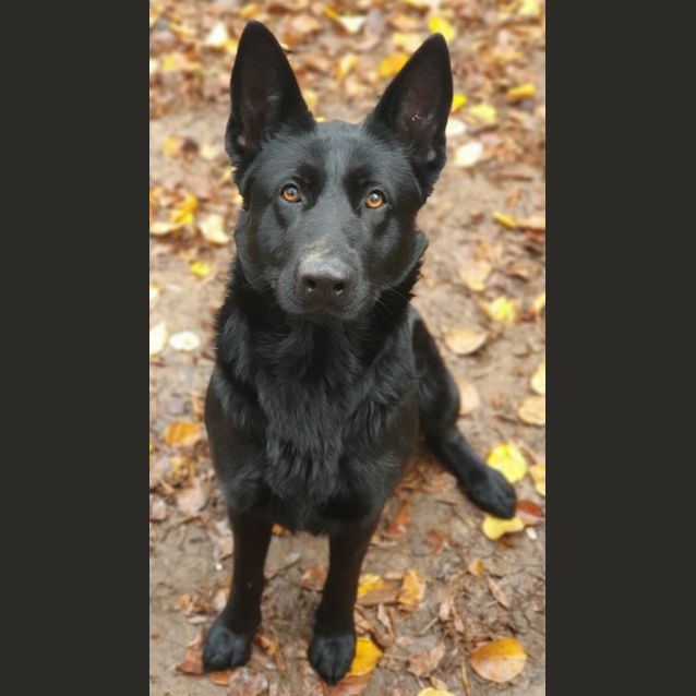 Photo of Athena