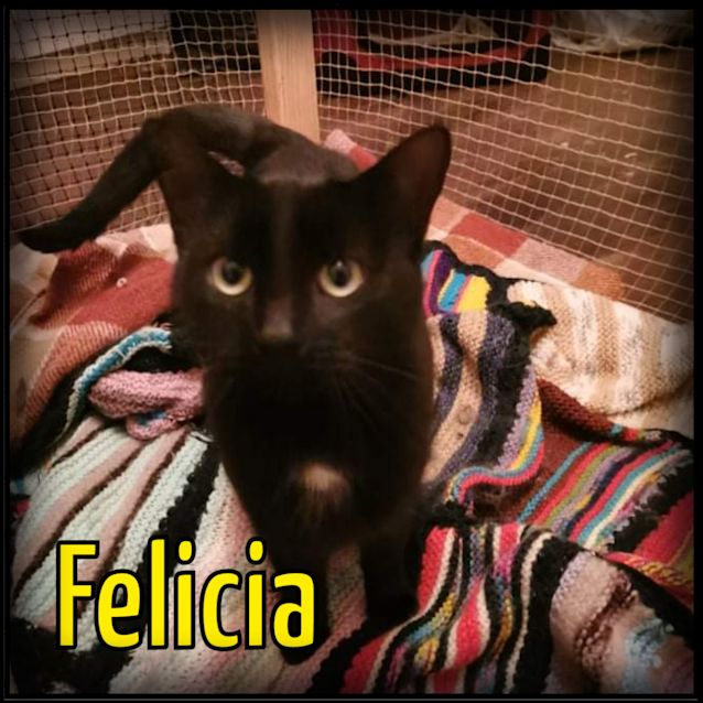 Photo of Felicia