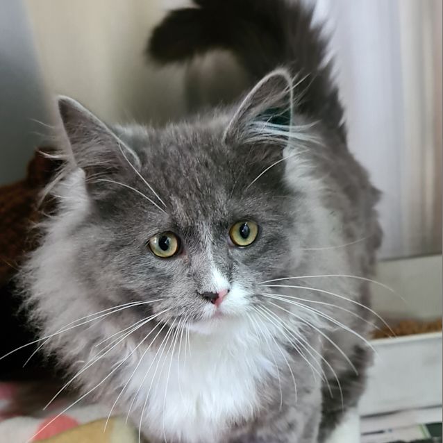 Photo of Charles 