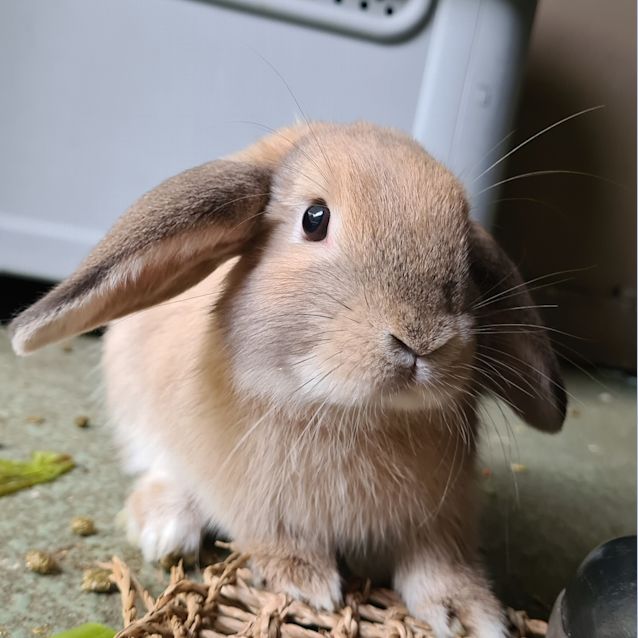 Photo of Arthur