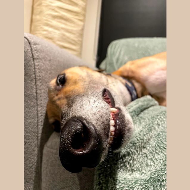 Photo of Brady