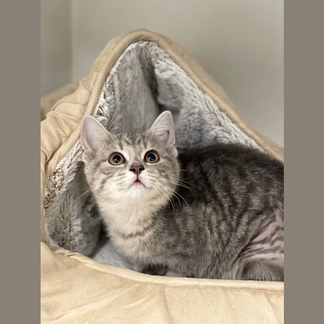 Photo of Dakota