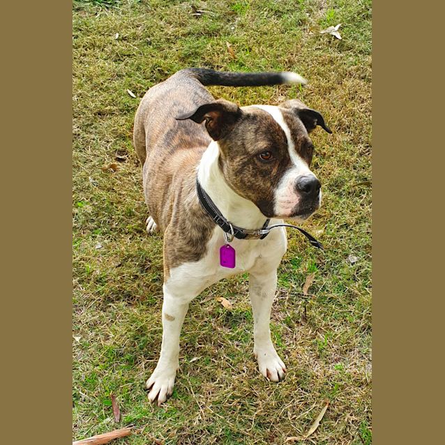 Photo of Sally Dl2677