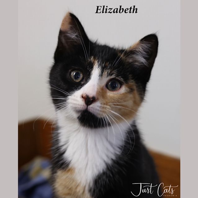 Photo of Elizabeth