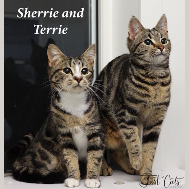 Photo of Terrie