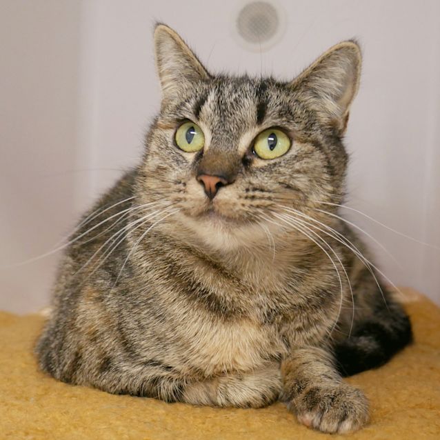 Photo of Aurora Rsua008628