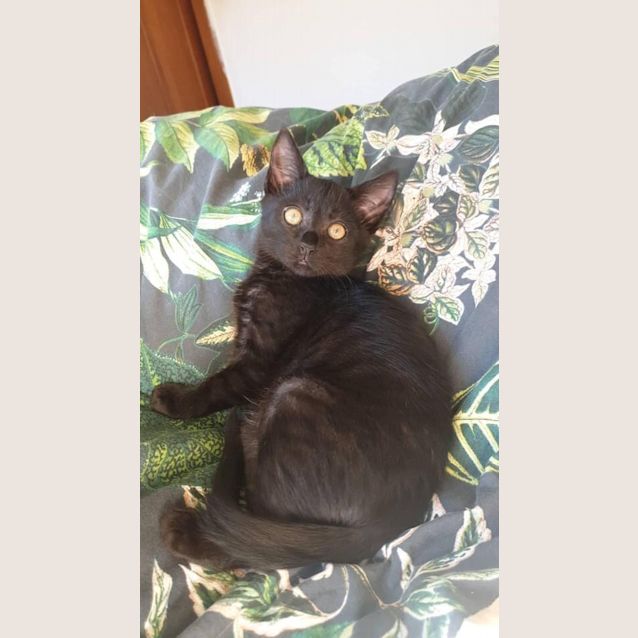 Photo of Annie