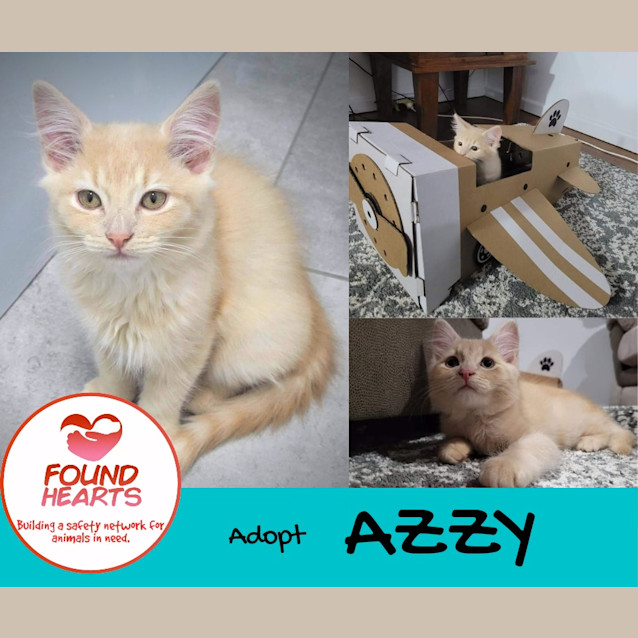 Photo of Azzy 