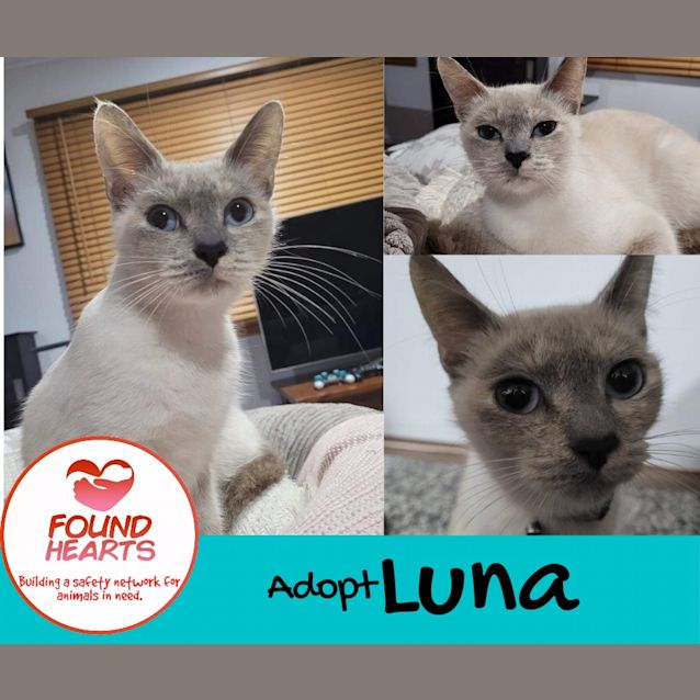 Photo of Luna 