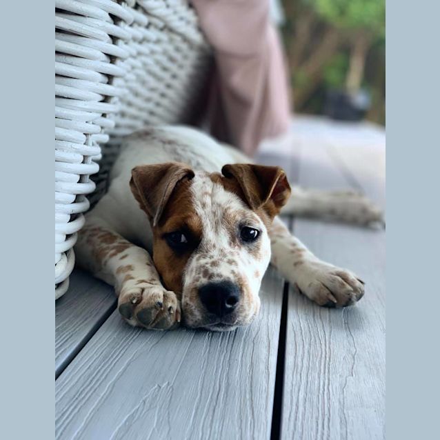 Photo of Harry