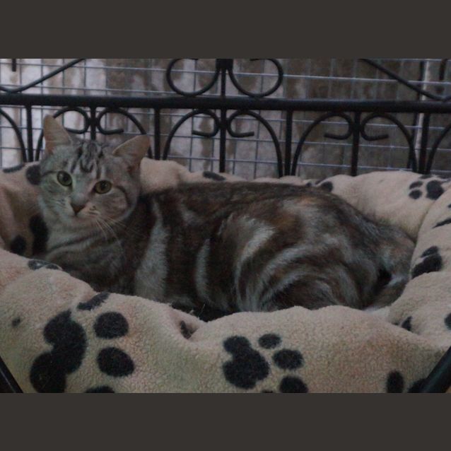 Photo of Echo